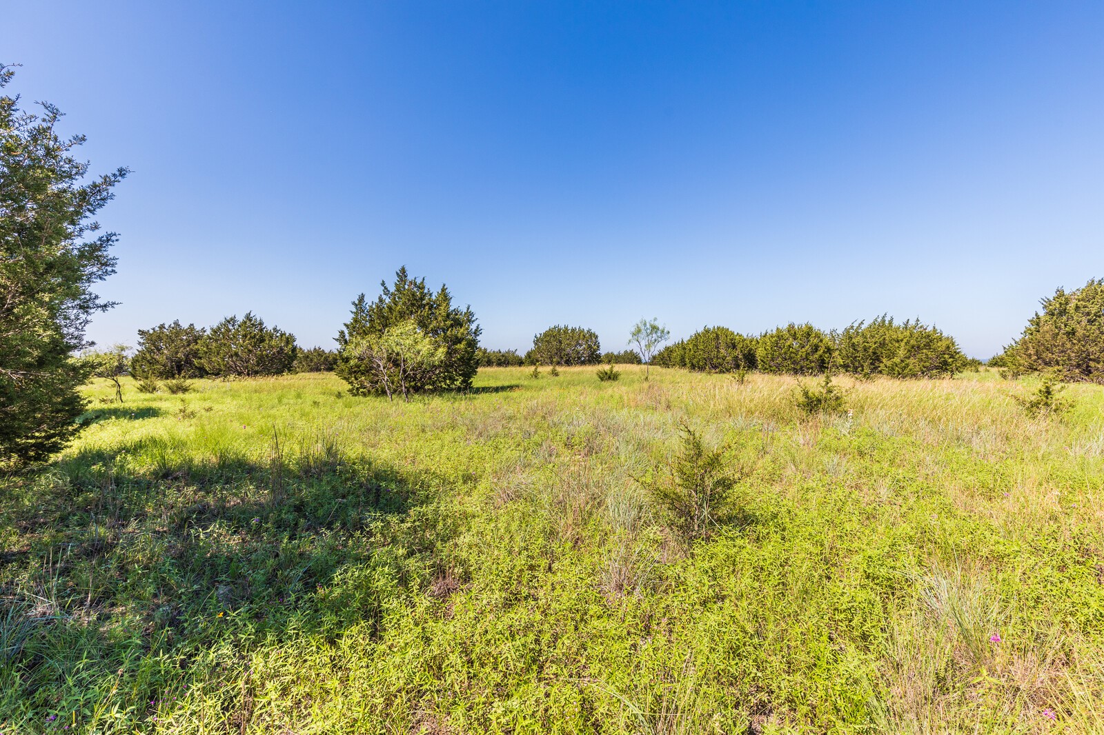 3300 County Road 3300 Kempner, TX 76539 - Photo 20 of 24