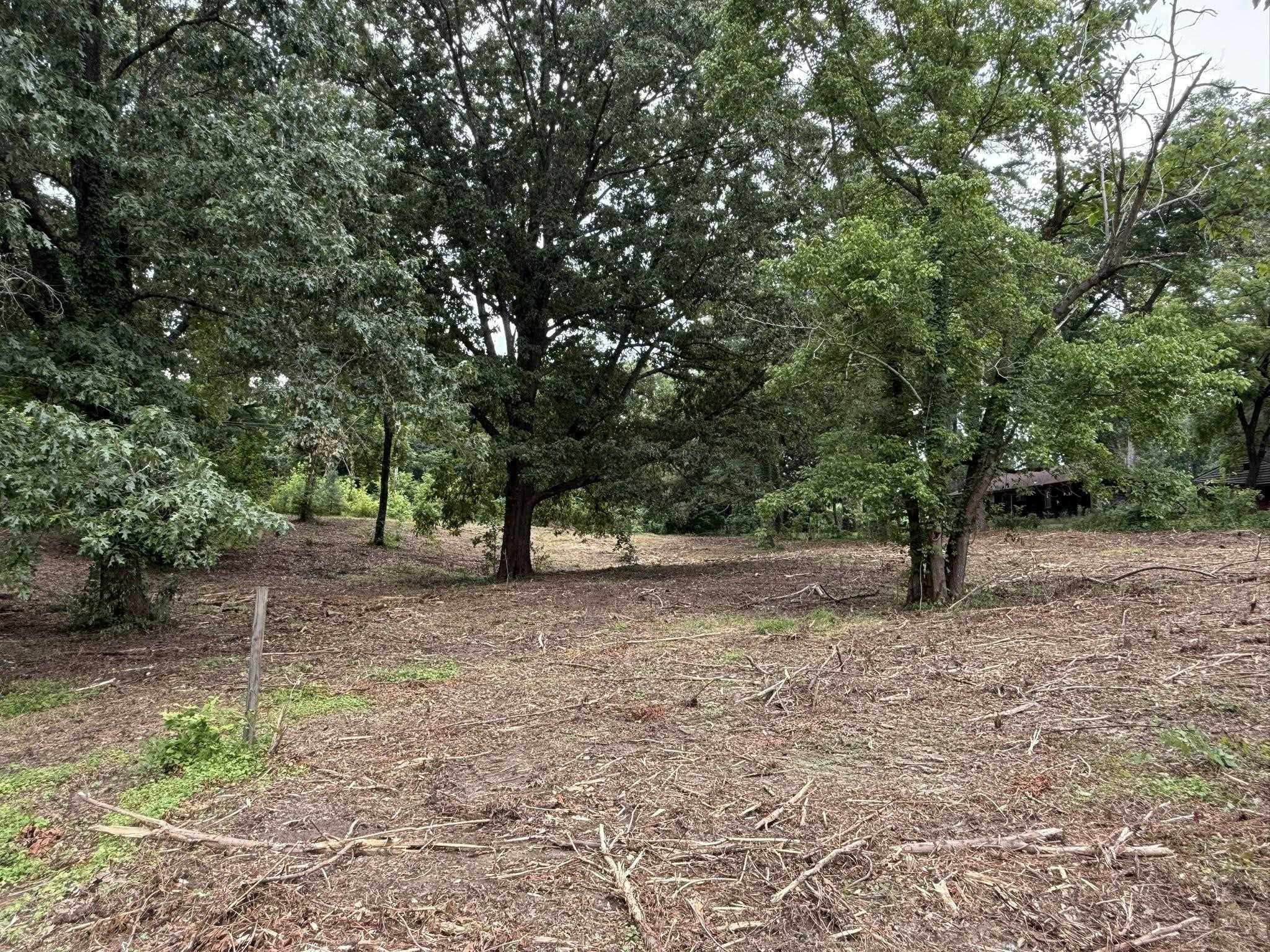 6760 Locke Road Millington, TN 38053 - Photo 35 of 39 Expansive land parcel featuring existing trees and a partially cleared ground cover