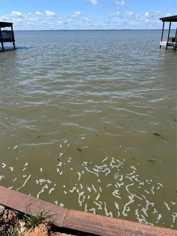 $108,900 | 108 Javelina Street, Onalaska, TX 77360