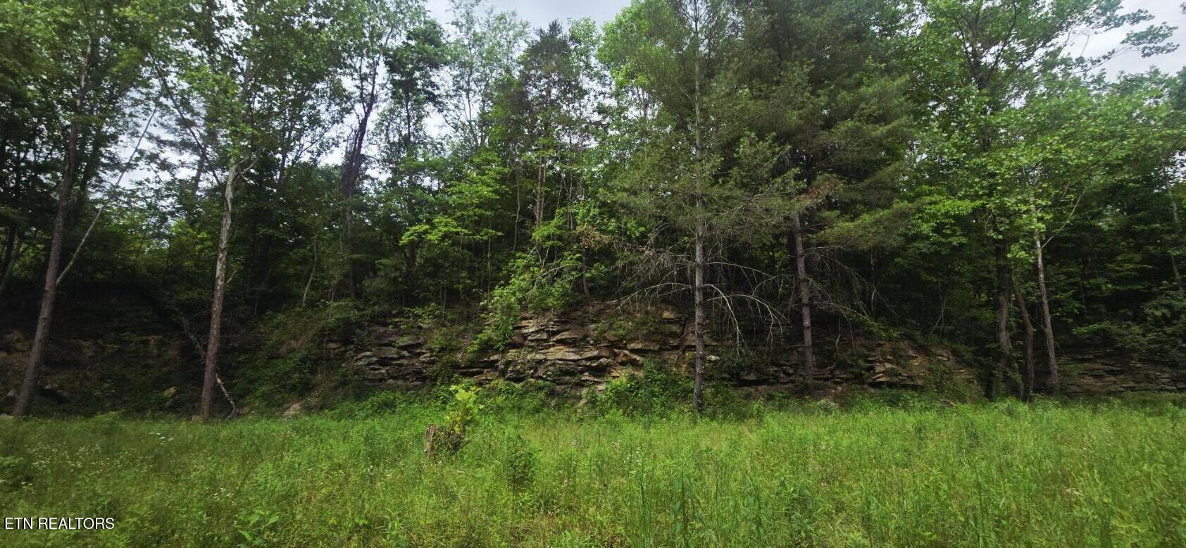 1095 Stanley Creek Road Oneida, TN 37841 - Photo 48 of 57 20260519_113841