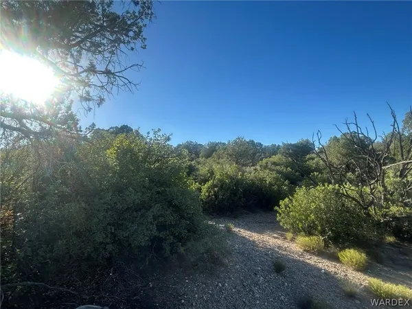 $47,500 | 204-17-044 Unknown, Kingman, AZ 86401