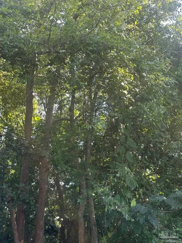 $89,000 | 407 Reeves Road, Pensacola, FL 32507