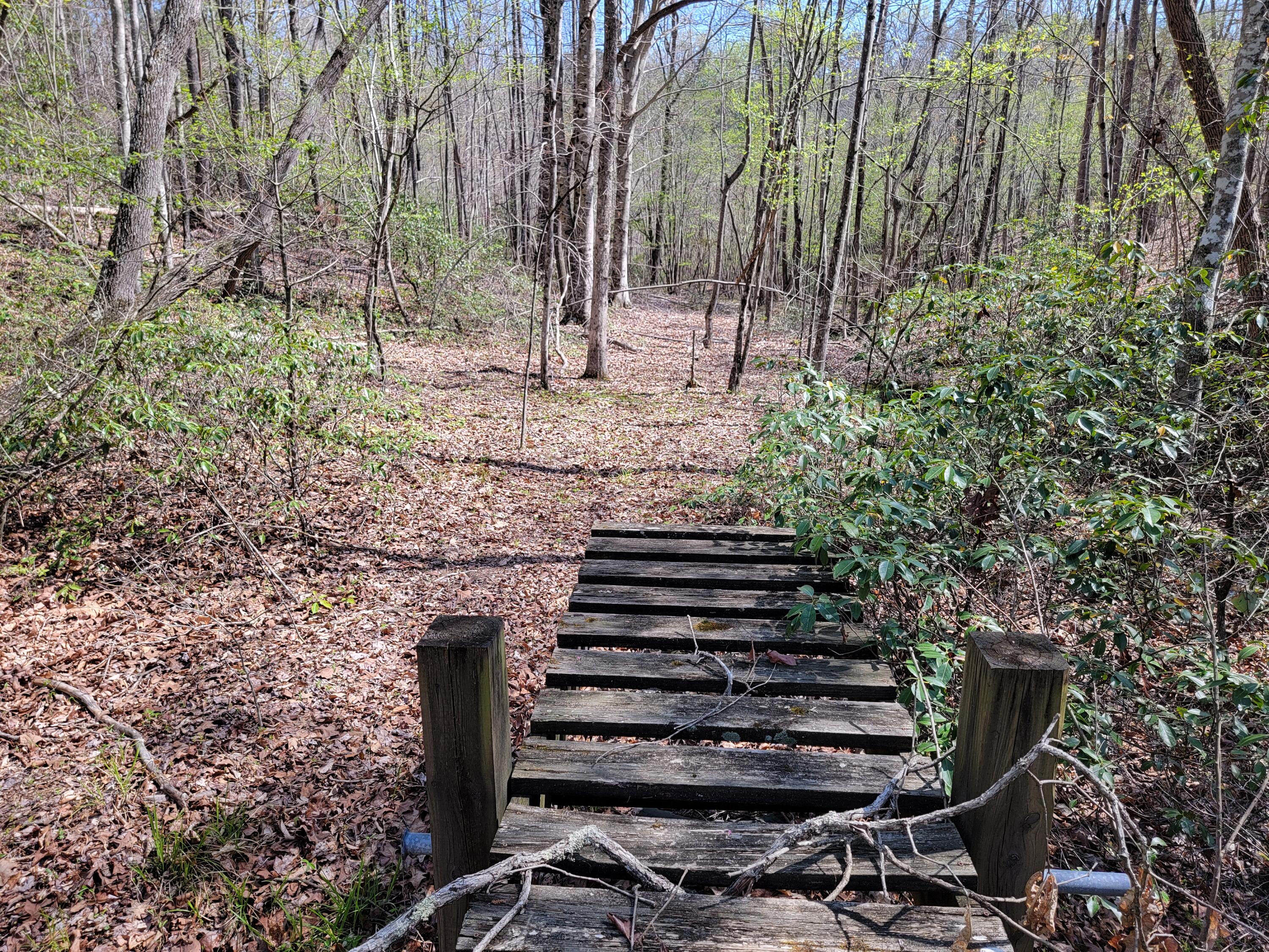 Tbd Earley Farm Road Amherst, VA 24521 - Photo 3 of 13 20240415_151223