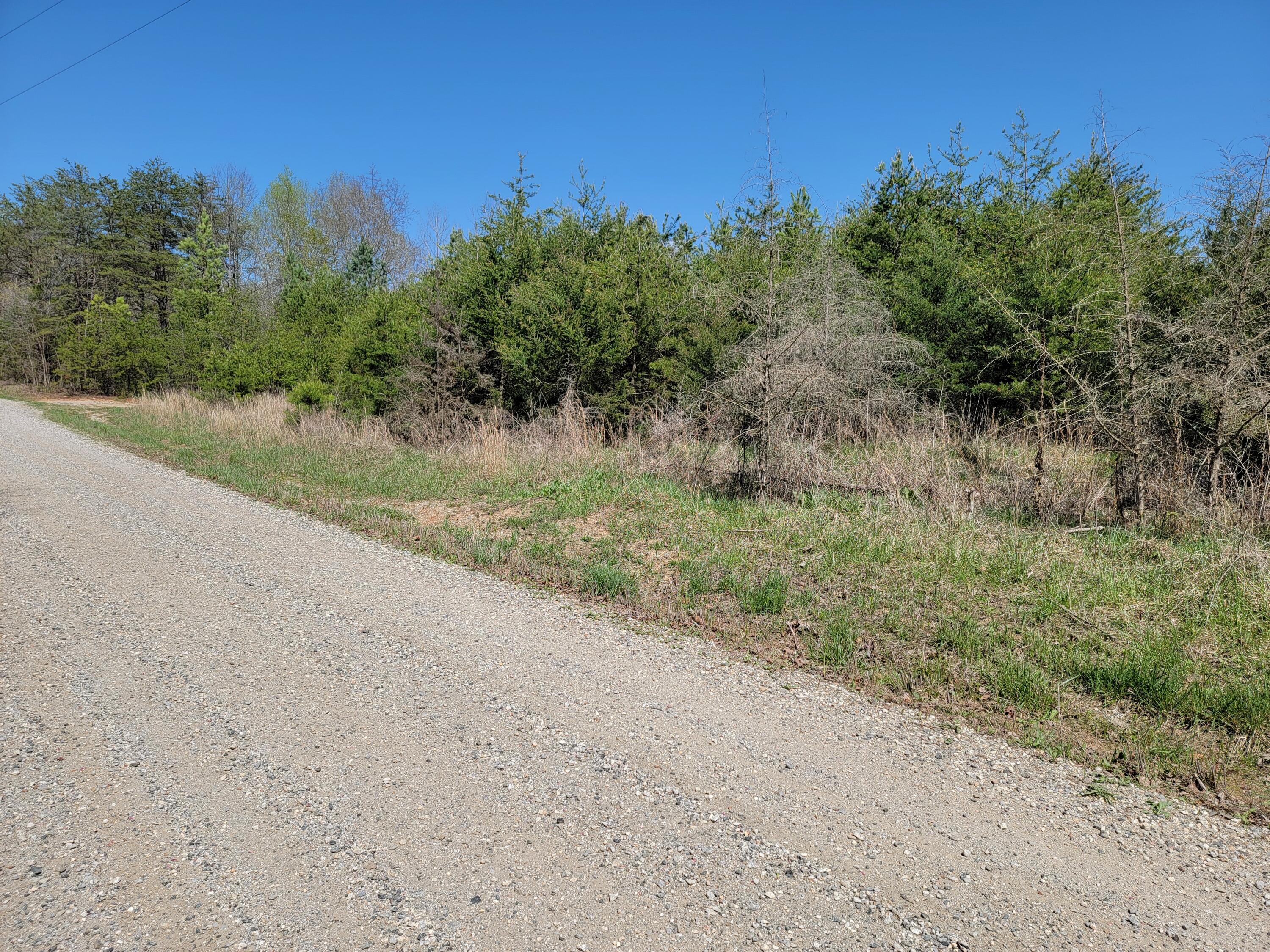 Tbd Earley Farm Road Amherst, VA 24521 - Photo 5 of 13 20240415_150504