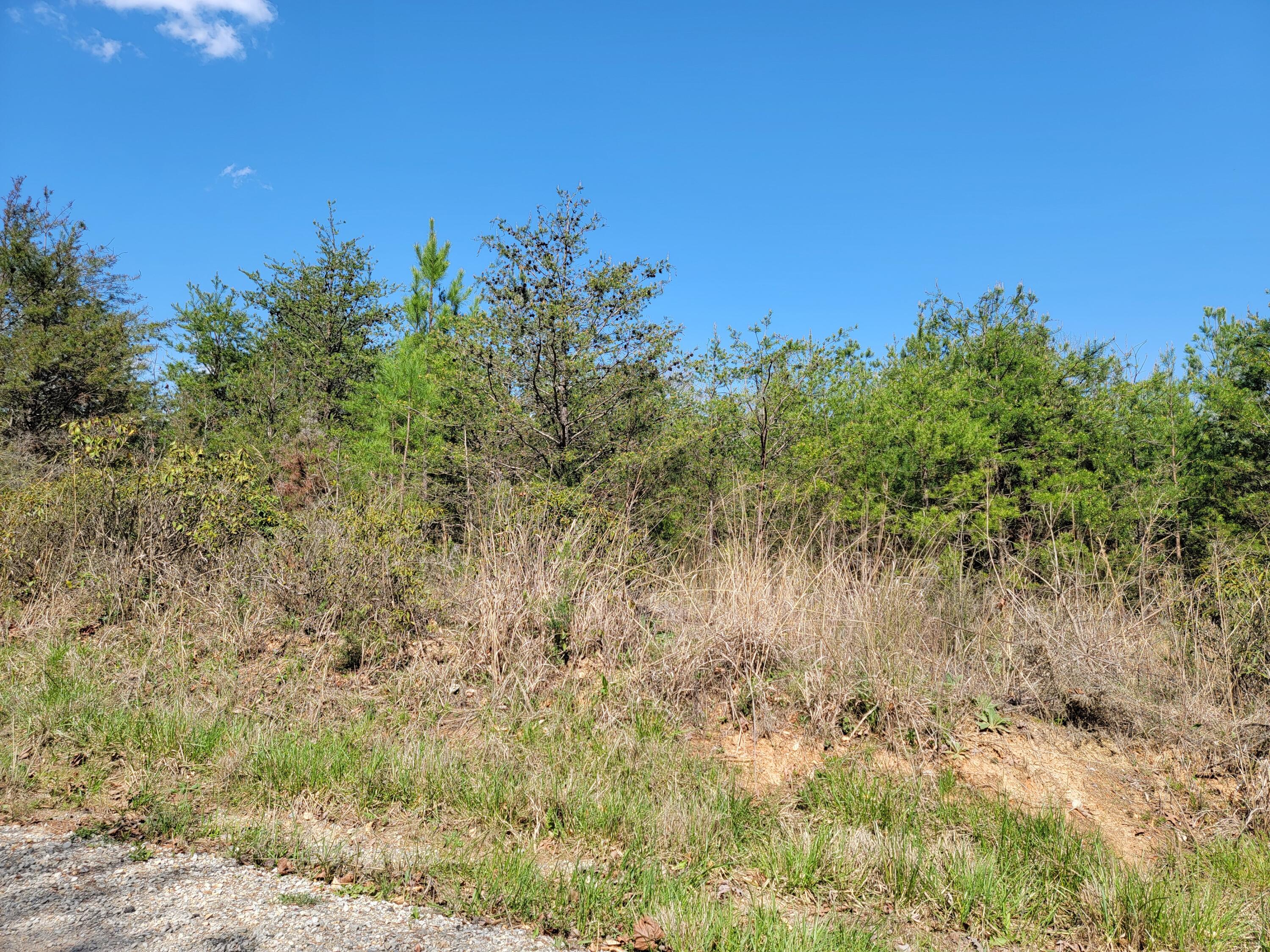 Tbd Earley Farm Road Amherst, VA 24521 - Photo 8 of 13 20240415_150755