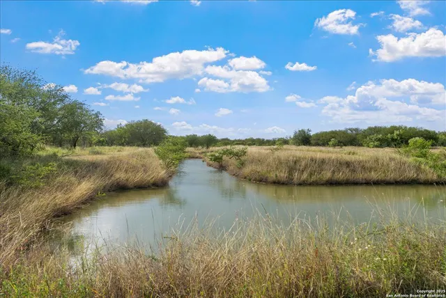 a view of a lake with houses in the background
