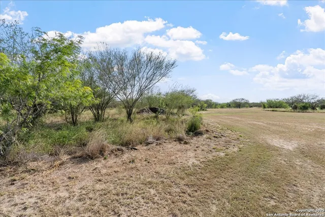 a view of dirt yard with a trees