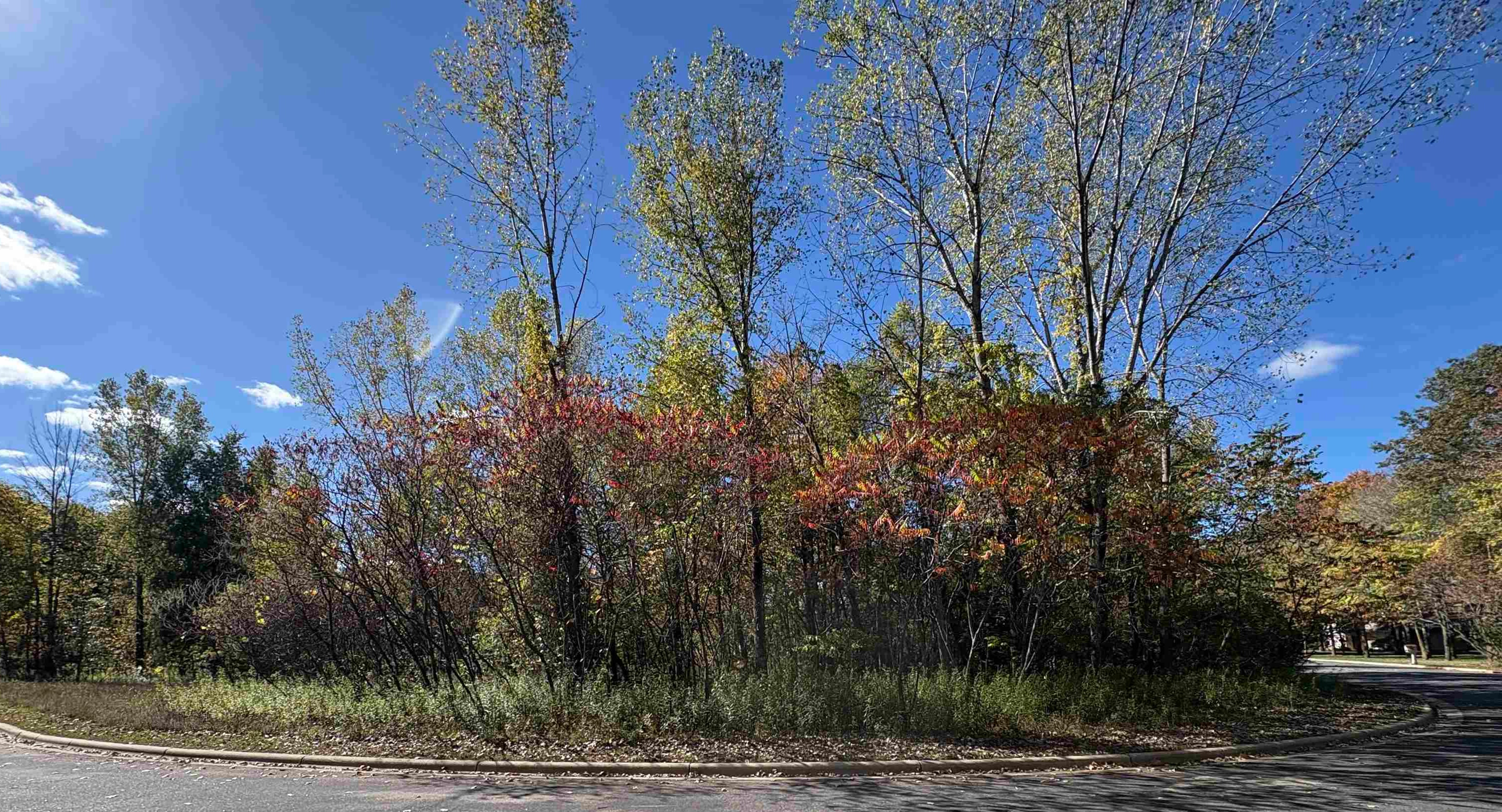 Kord Court, Unit 12 Oconto, WI 54153 - Photo 5 of 11