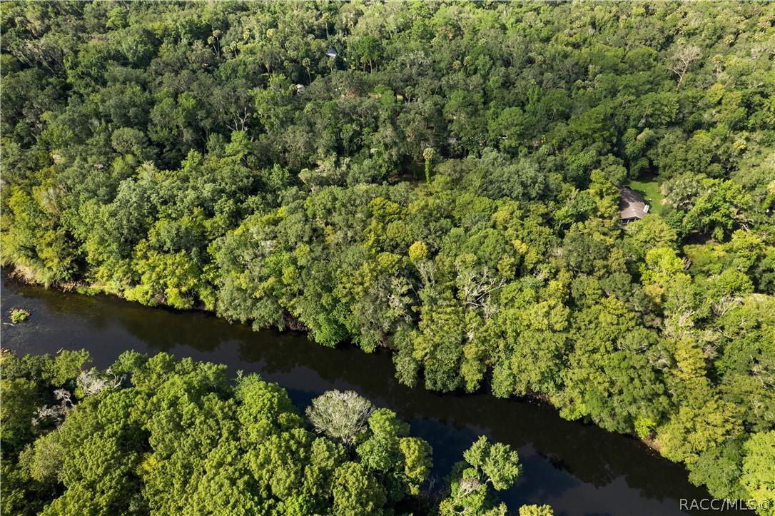 6409 East River Road Hernando, FL 34442 - Photo 24 of 50 Gallery Image 24