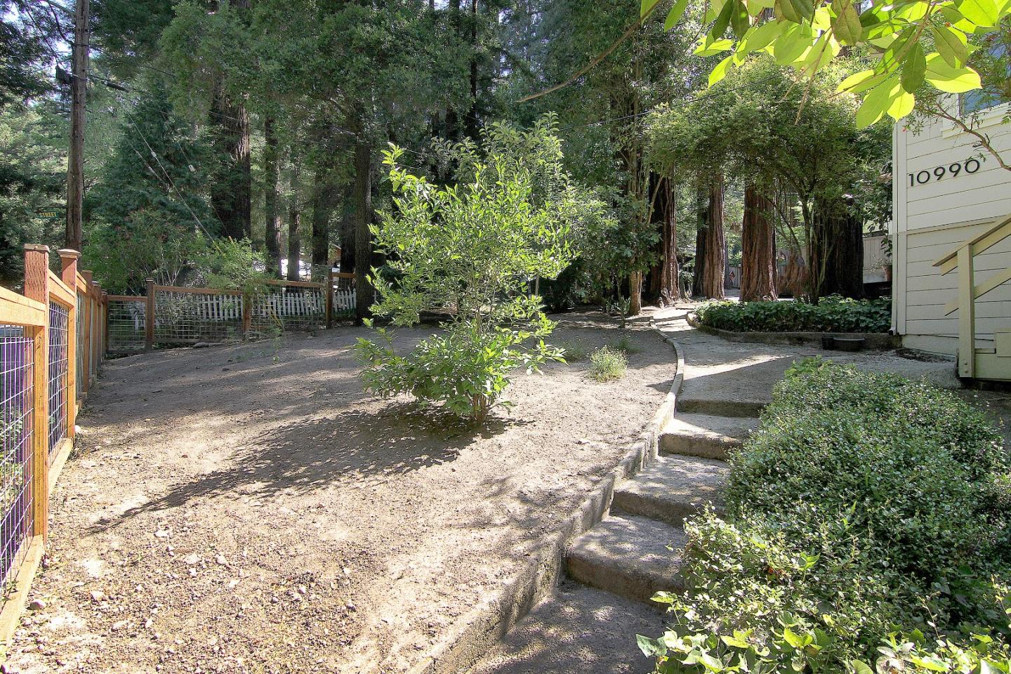 10990 Riverside Road Brookdale, CA 95005 - Photo 18 of 29 a view of a yard with plants and trees
