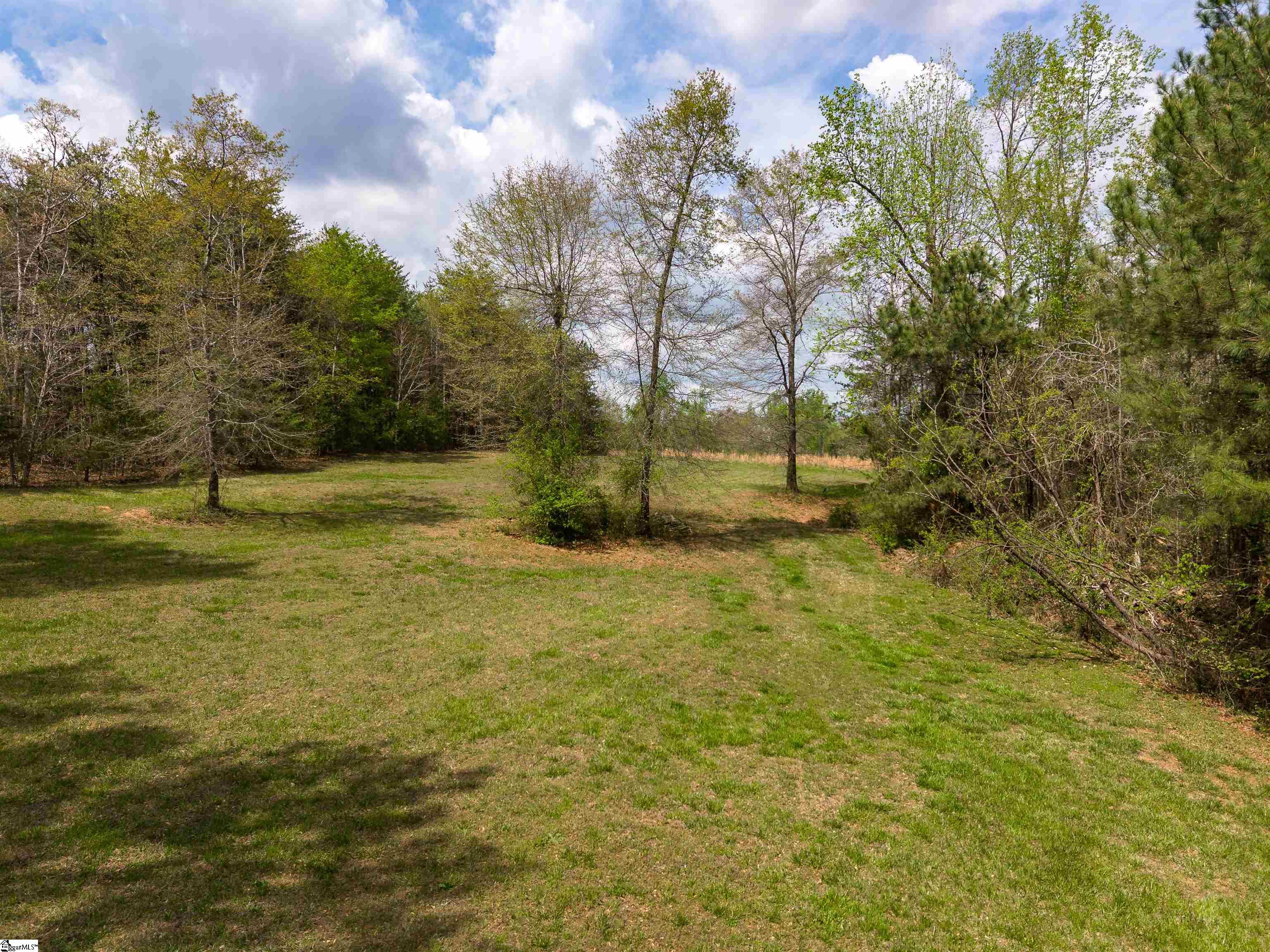 2500 South Blackstock Road Landrum, SC 29356 - Photo 47 of 49