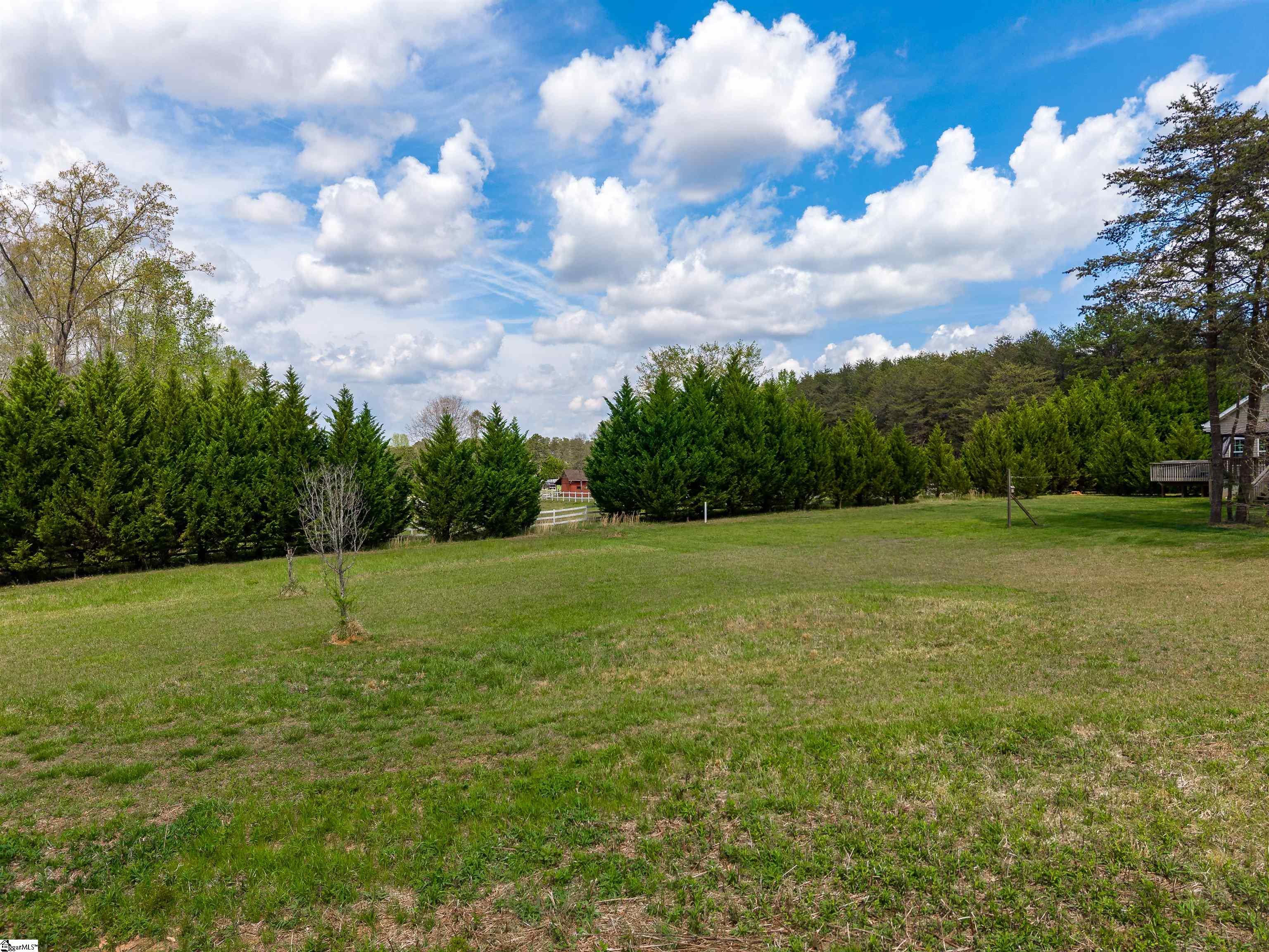 2500 South Blackstock Road Landrum, SC 29356 - Photo 48 of 49