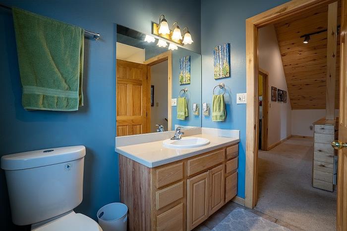 377 Crocus Road Gunnison, CO 81230 - Photo 52 of 80