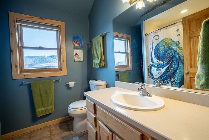 377 Crocus Road Gunnison, CO 81230 - Photo 53 of 80