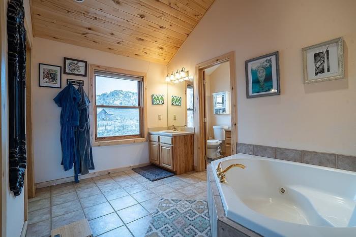 377 Crocus Road Gunnison, CO 81230 - Photo 72 of 80