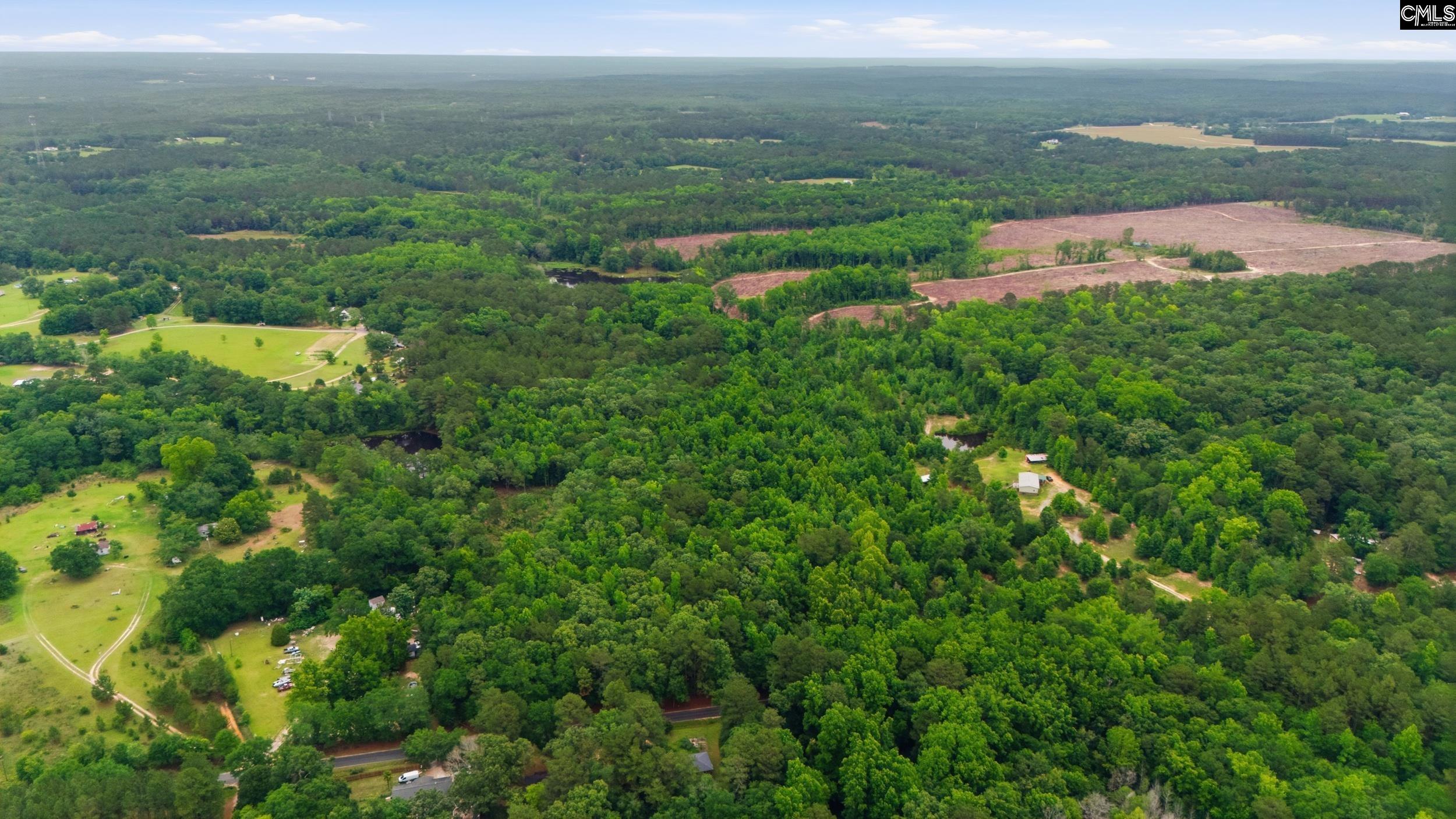 Tbd Basil Road Swansea, SC 29160 - Photo 5 of 19