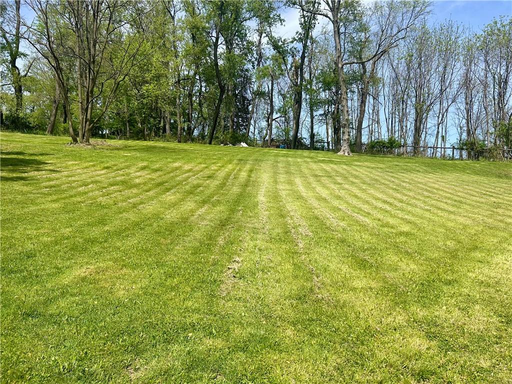 1133 Venetia Road Eighty Four, PA 15330 - Photo 23 of 26 a view of a swimming pool and trees in the background