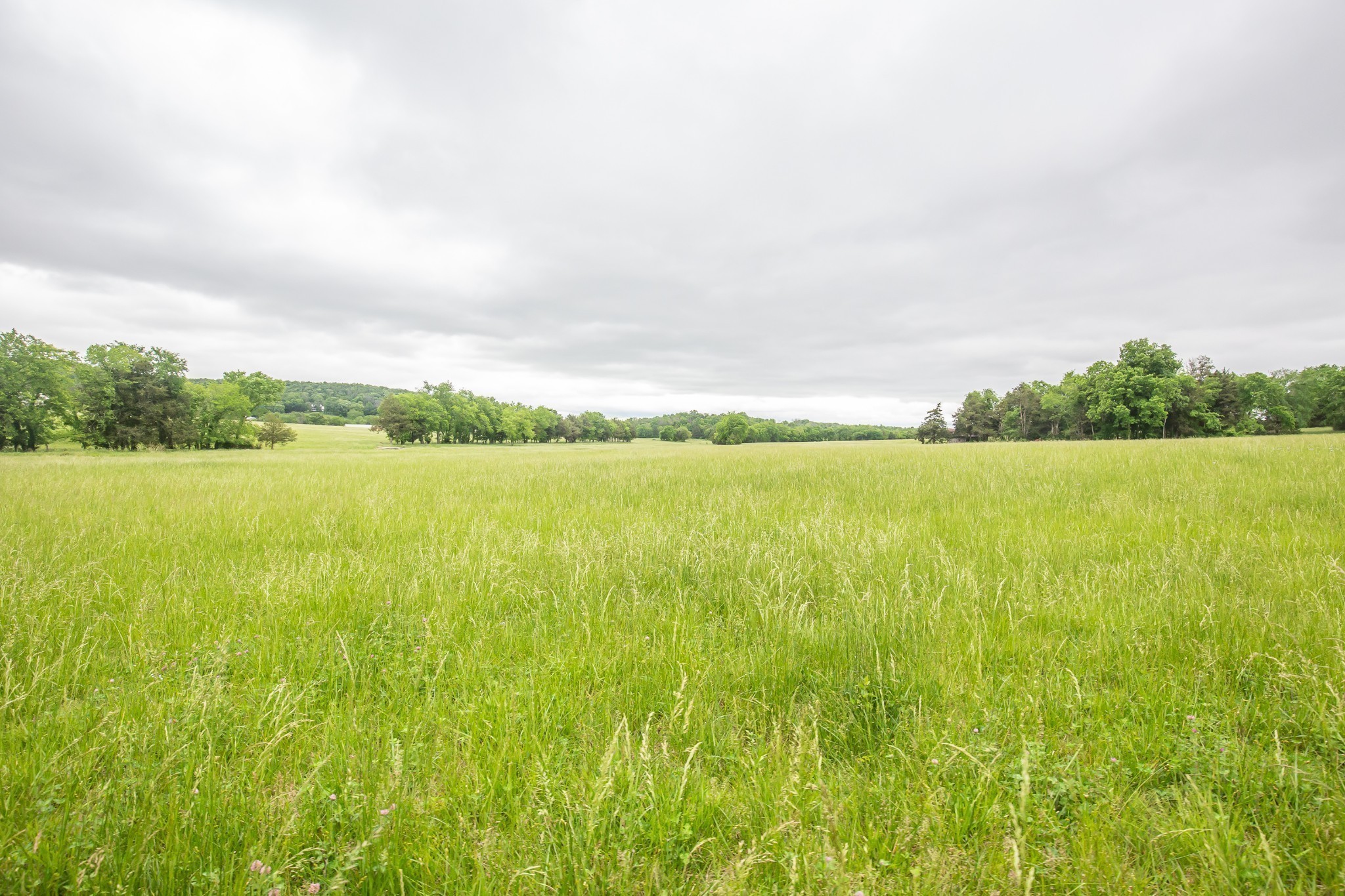 521 Coop Road Bell Buckle, TN 37020 - Photo 13 of 63 a view of yard with ocean view