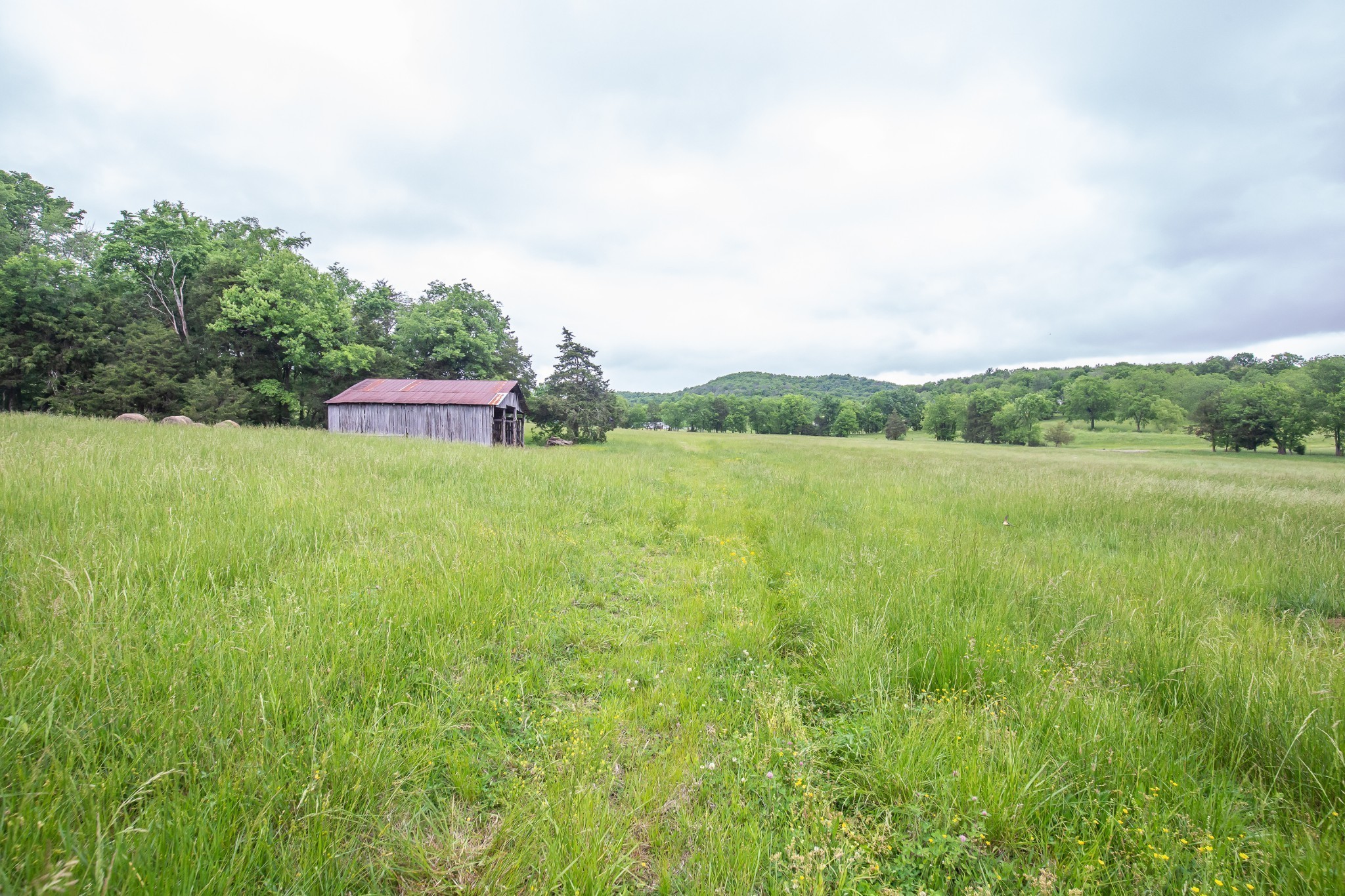 521 Coop Road Bell Buckle, TN 37020 - Photo 20 of 63 a view of a big yard with plants and large trees