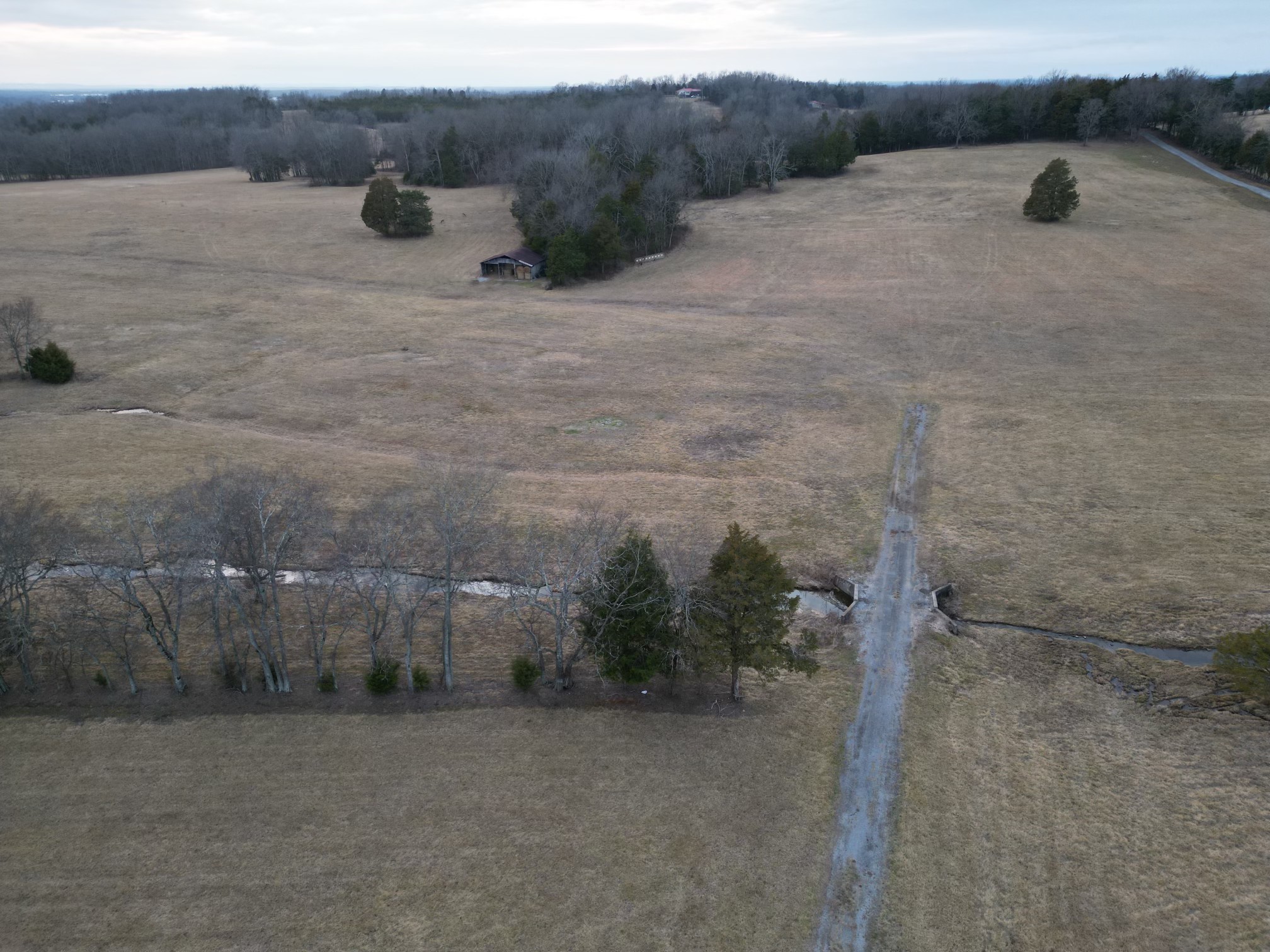521 Coop Road Bell Buckle, TN 37020 - Photo 22 of 63
