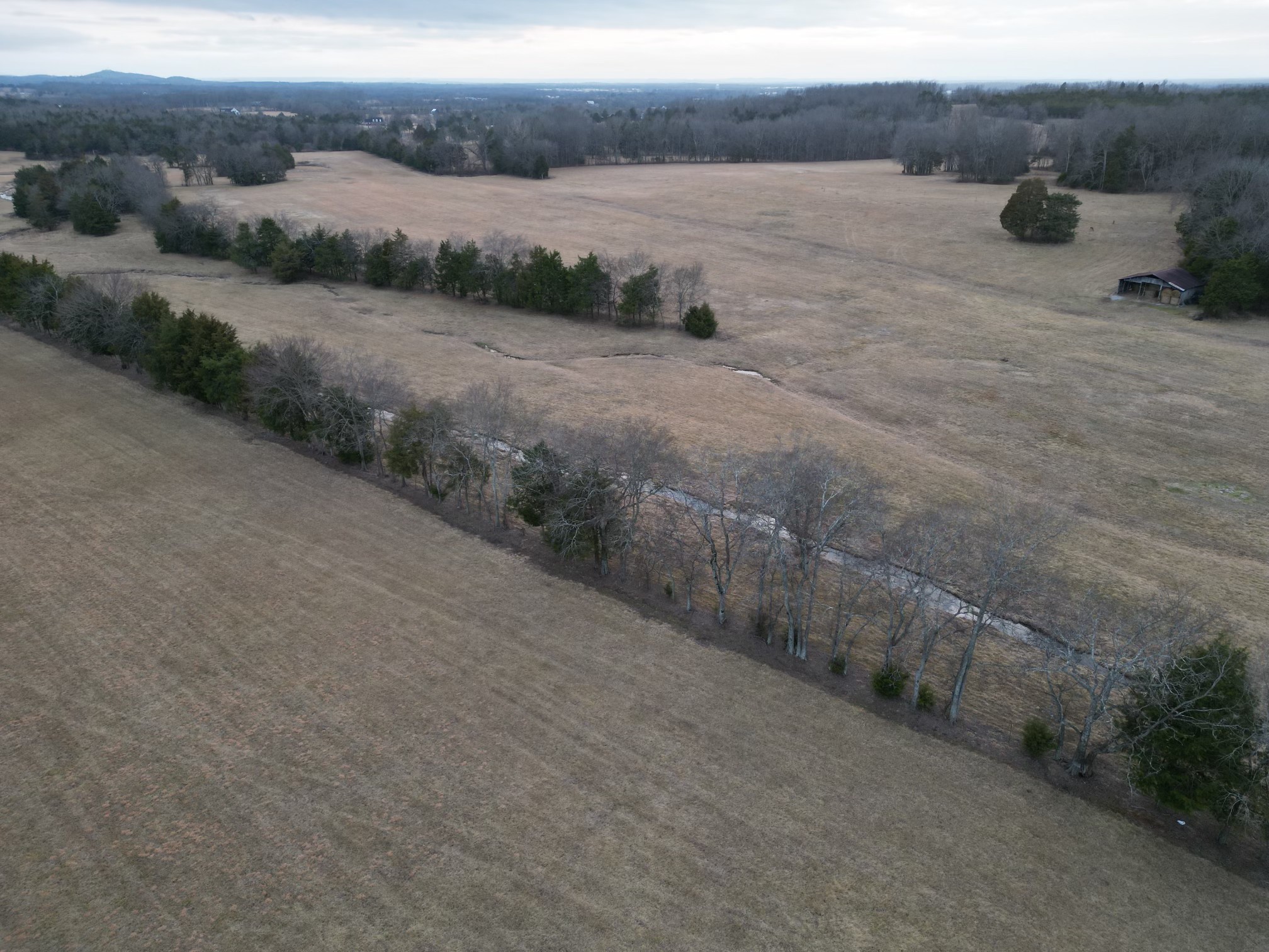 521 Coop Road Bell Buckle, TN 37020 - Photo 23 of 63 a view of a dry yard with wooden fence