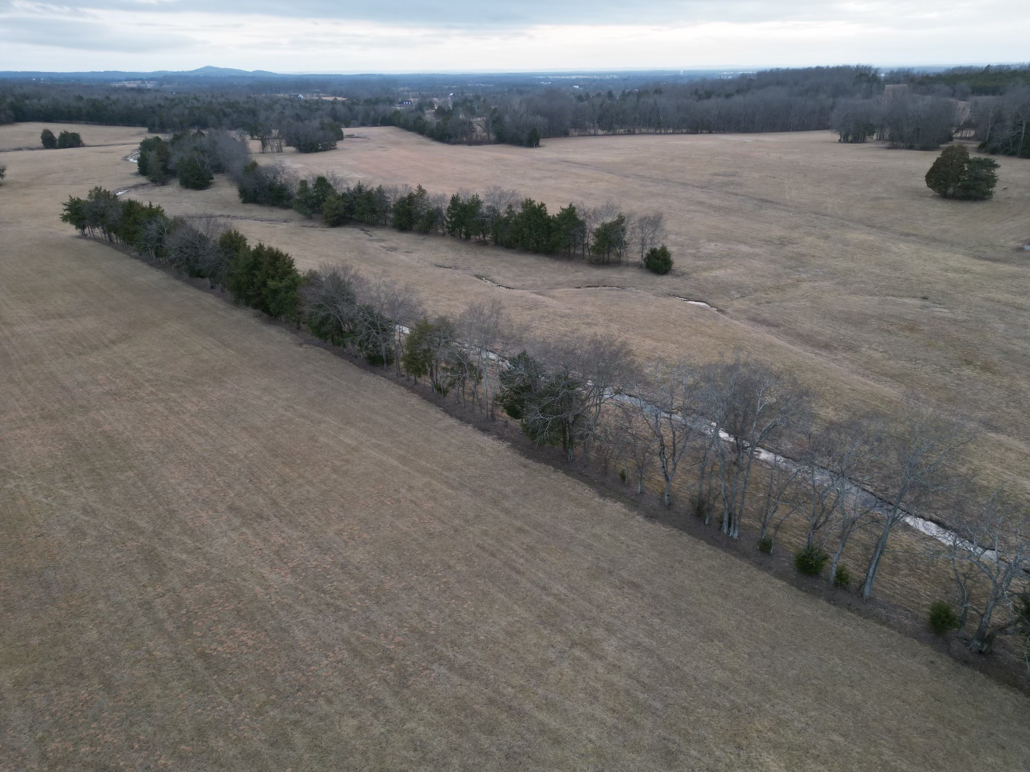 521 Coop Road Bell Buckle, TN 37020 - Photo 24 of 63 a view of a dry yard with wooden fence