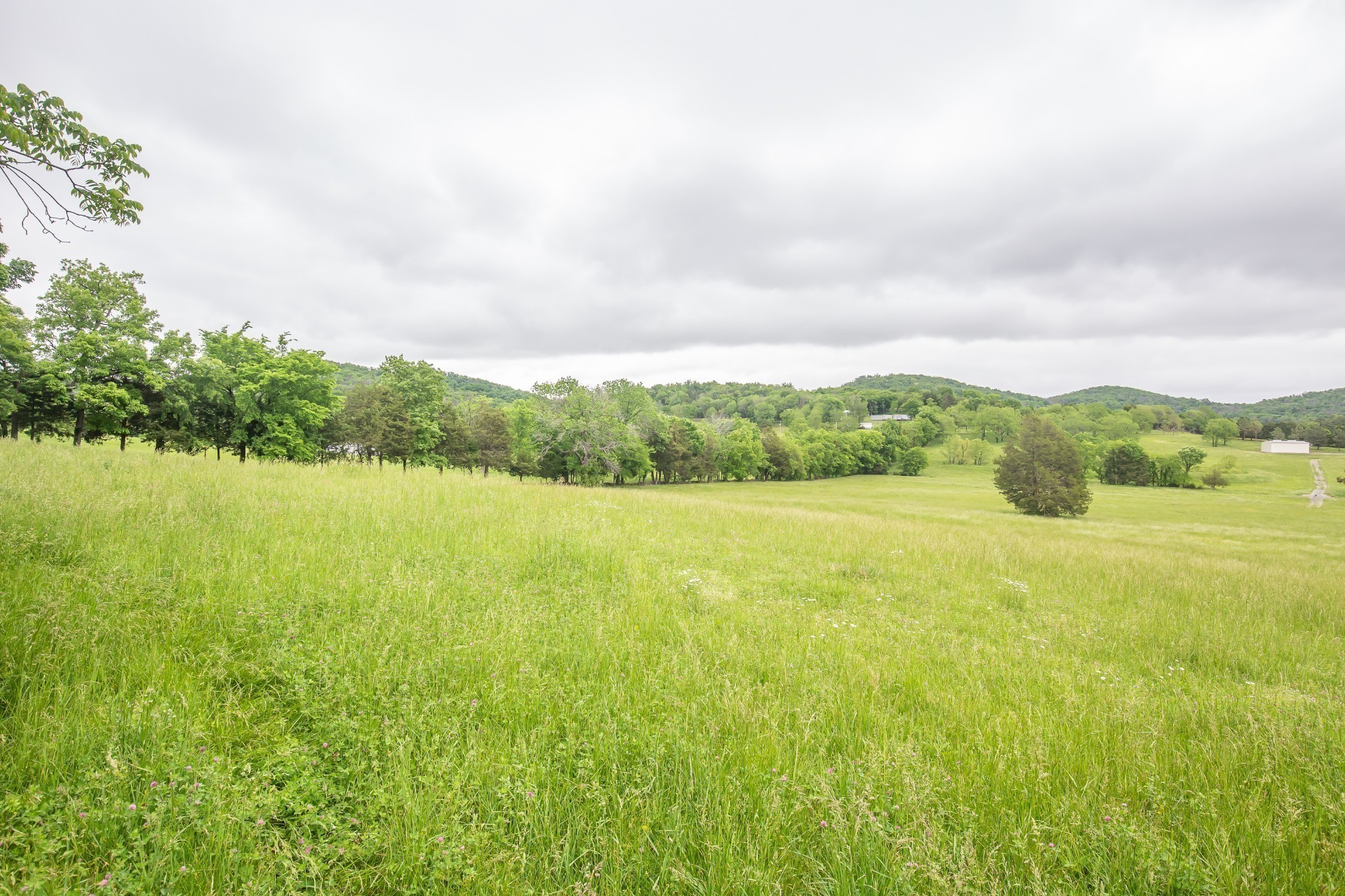 521 Coop Road Bell Buckle, TN 37020 - Photo 5 of 63 a view of an ocean and a mountain