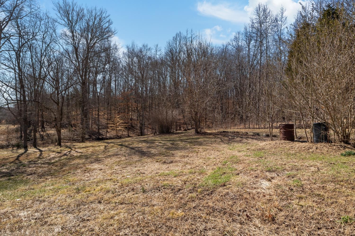 624 Nickletown Road Sugar Tree, TN 38380 - Photo 39 of 45 a view of a yard with trees