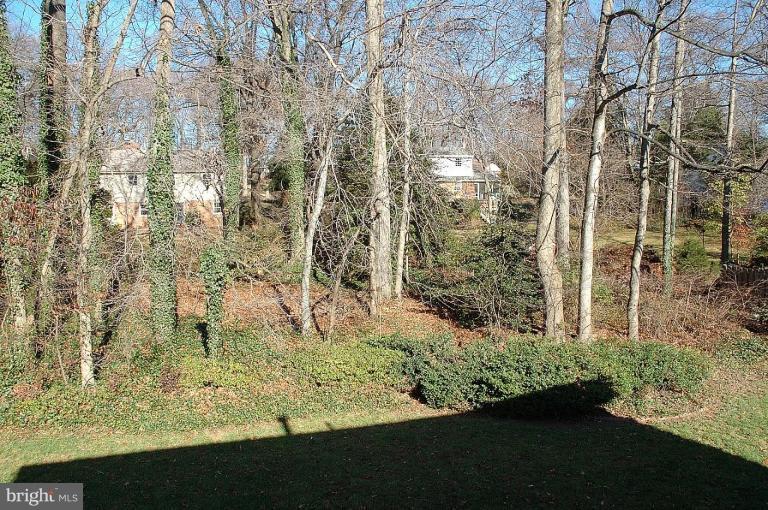 10179 Red Spruce Road Fairfax, VA 22032 - Photo 17 of 17 Back yard