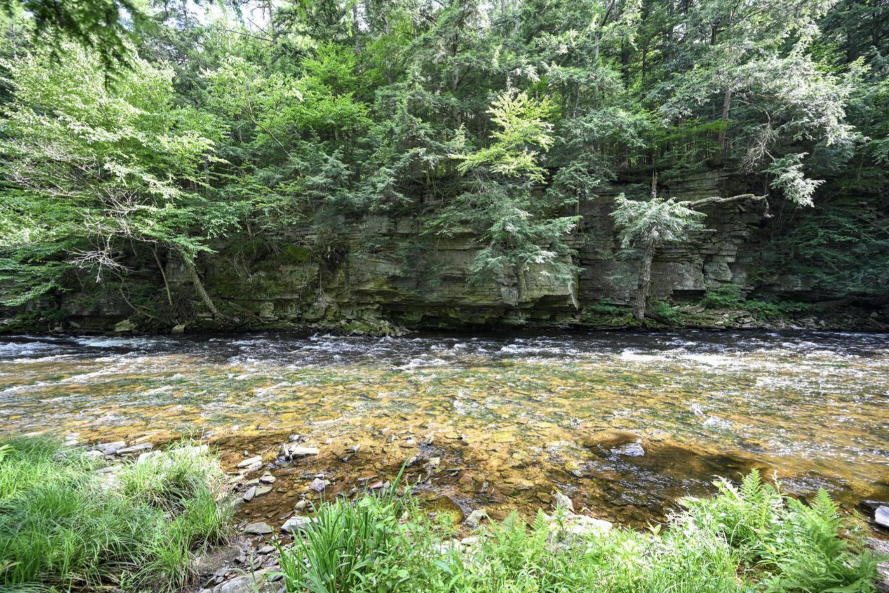 661 Chasm Road Chateaugay, NY 12920 - Photo 11 of 18 Gallery Image 11