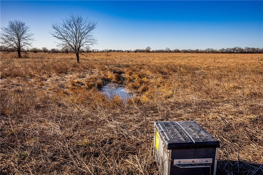 355 Georgia Road Williamsburg, KS 66095 - Photo 22 of 99