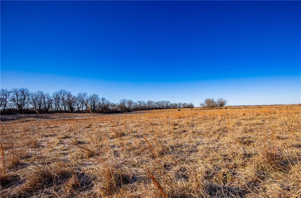355 Georgia Road Williamsburg, KS 66095 - Photo 24 of 99