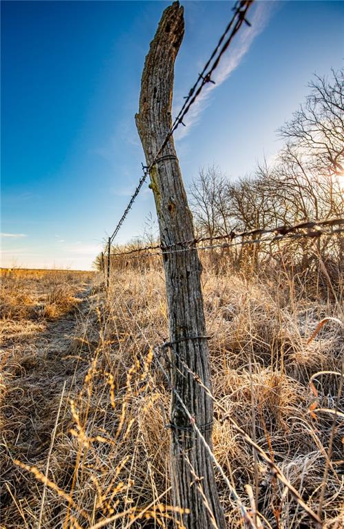 355 Georgia Road Williamsburg, KS 66095 - Photo 6 of 99