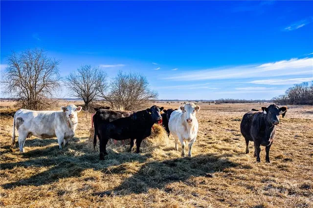 $1,200,000 | 355 Georgia Road, Williamsburg, KS 66095