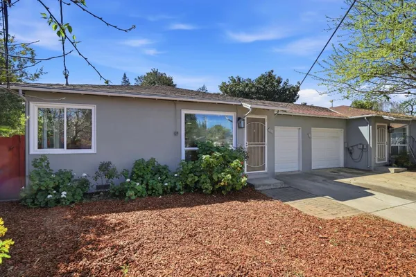 a house with a tree in front of it