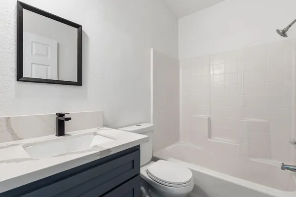 a bathroom with a toilet a sink a mirror and bathtub