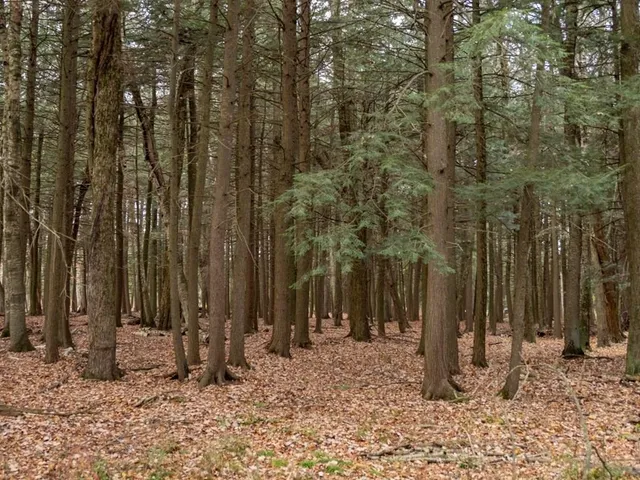 $235,000 | 1059 Tacoma Beach Road, Sturgeon Bay, WI 54235