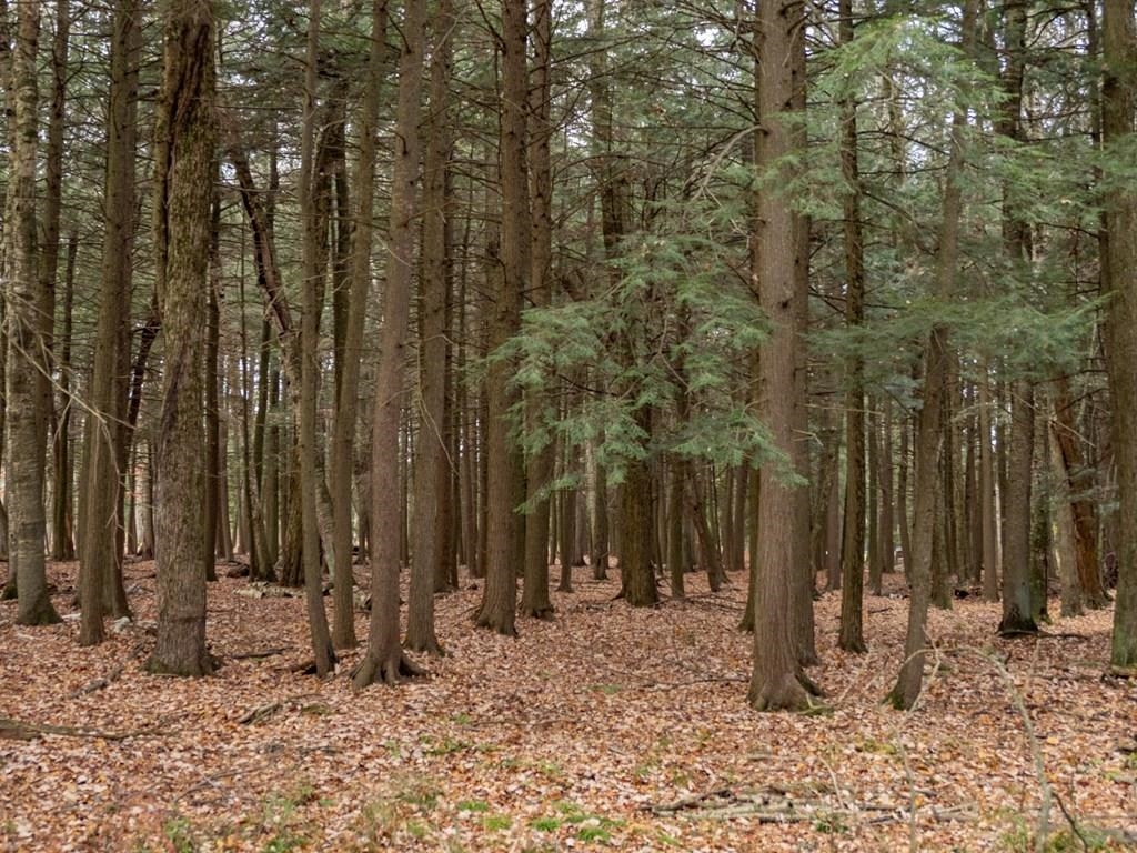 1059 Tacoma Beach Road Sturgeon Bay, WI 54235 - Photo 15 of 16