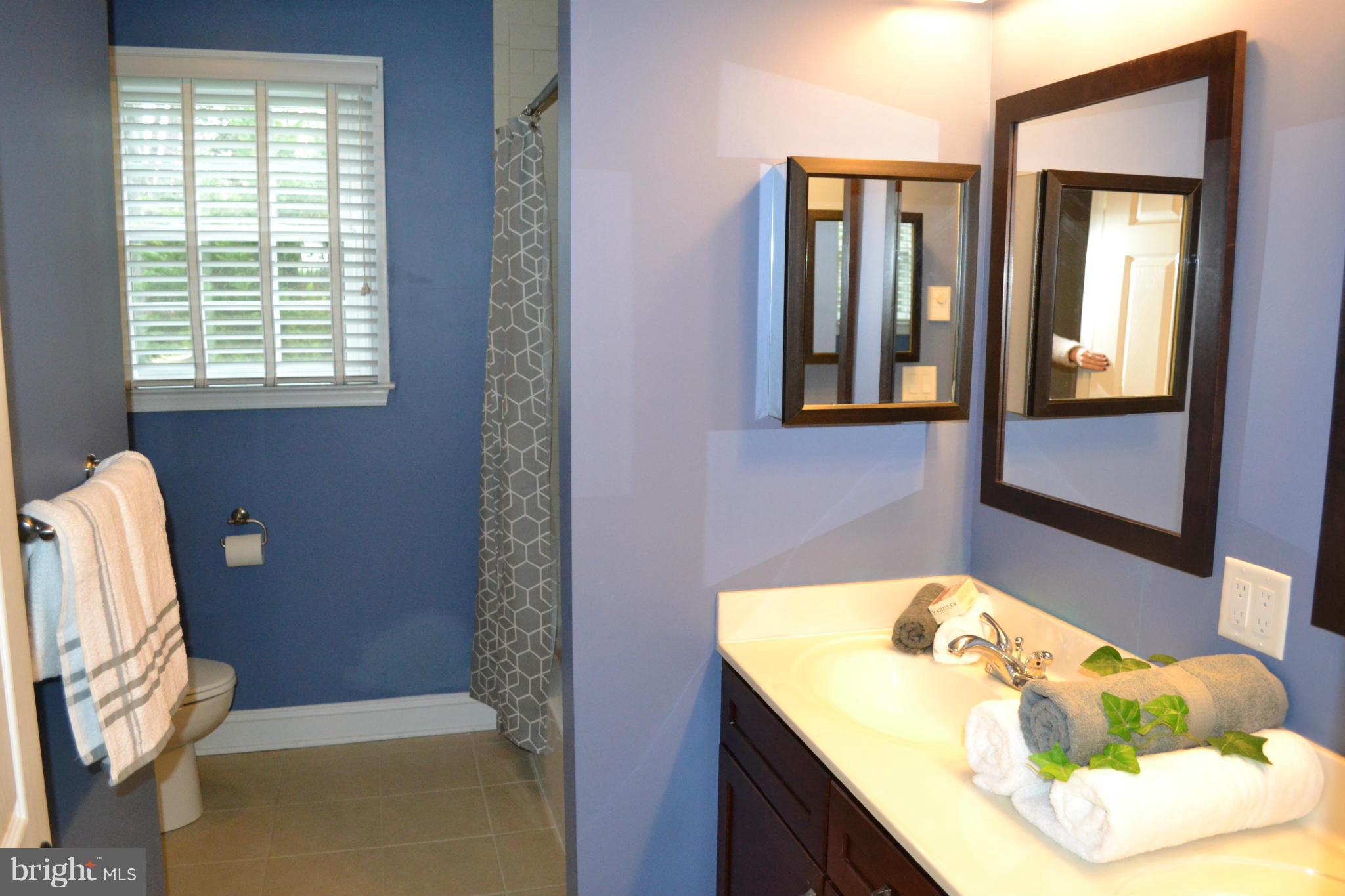 611 St Francis Road Baltimore, MD 21286 - Photo 18 of 29 Bath