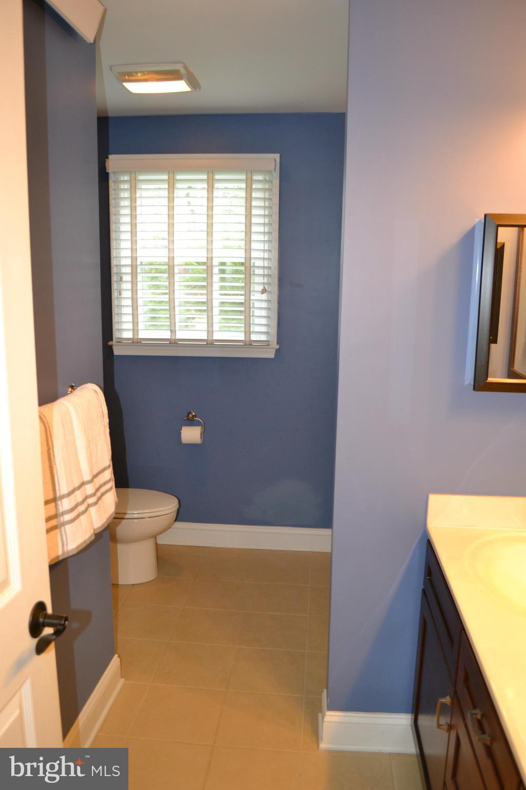 611 St Francis Road Baltimore, MD 21286 - Photo 20 of 29 Bath