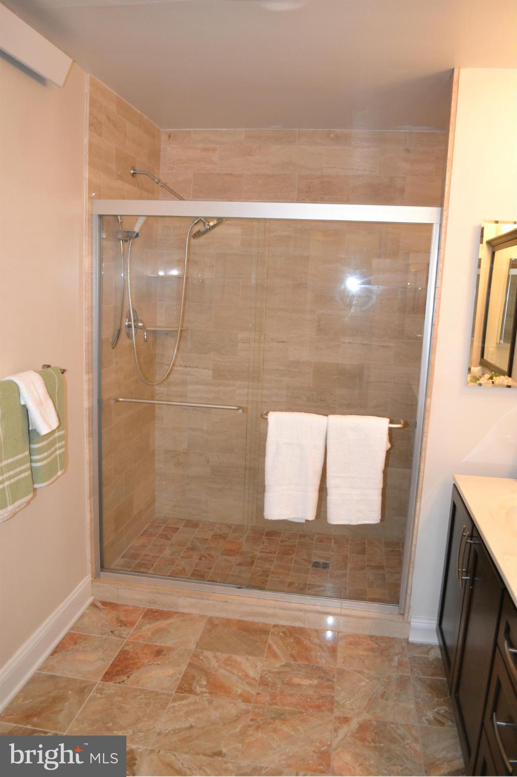 611 St Francis Road Baltimore, MD 21286 - Photo 25 of 29 Bath (Master)