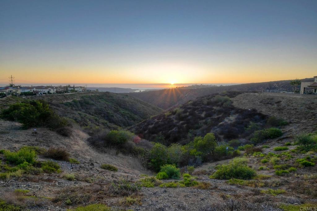 7127 Sitio Caliente Carlsbad, CA 92009 - Photo 23 of 24