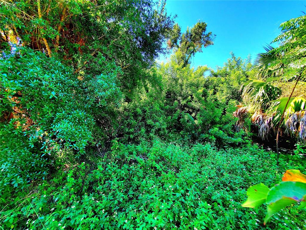 5838 Sun Glo Avenue Port Richey, FL 34668 - Photo 16 of 19 a view of a garden