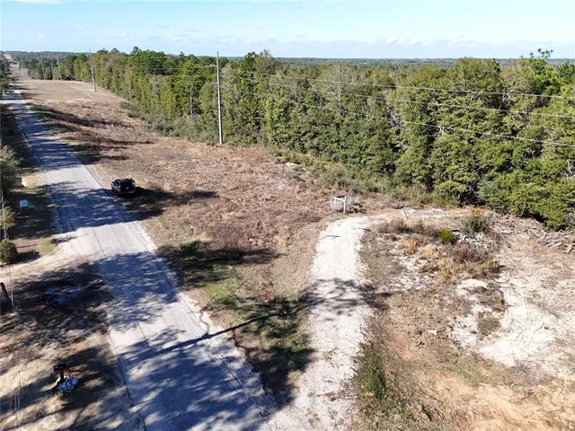 a view of a yard with trees