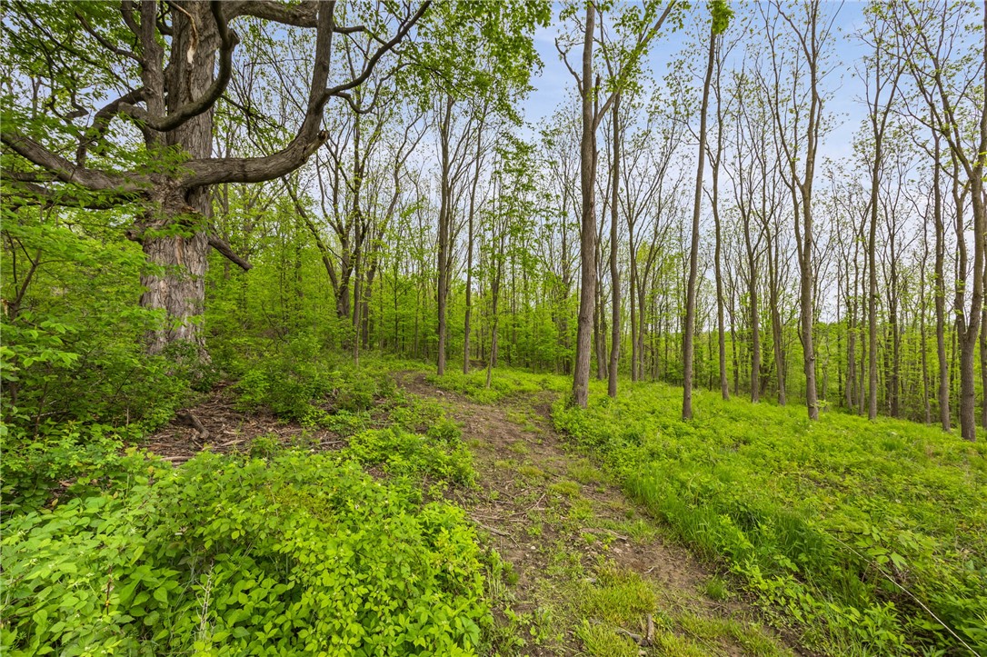 9380 Big Tree Road Richmond, NY 14466 - Photo 9 of 25