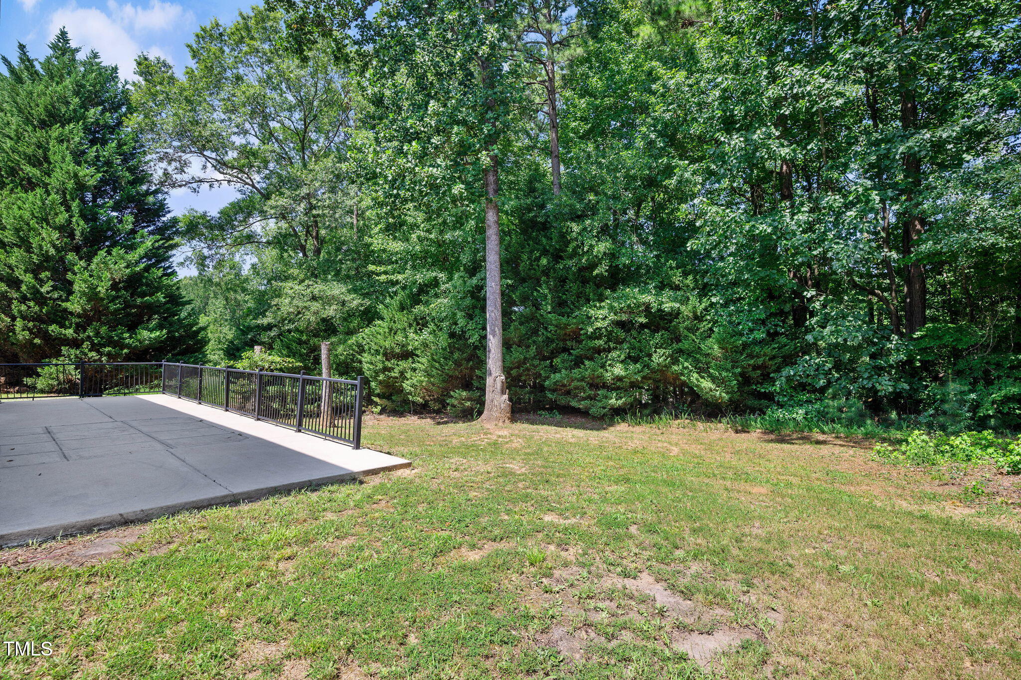 3805 Mike Levi Court Raleigh, NC 27610 - Photo 5 of 34 a backyard of a house with lots of green space