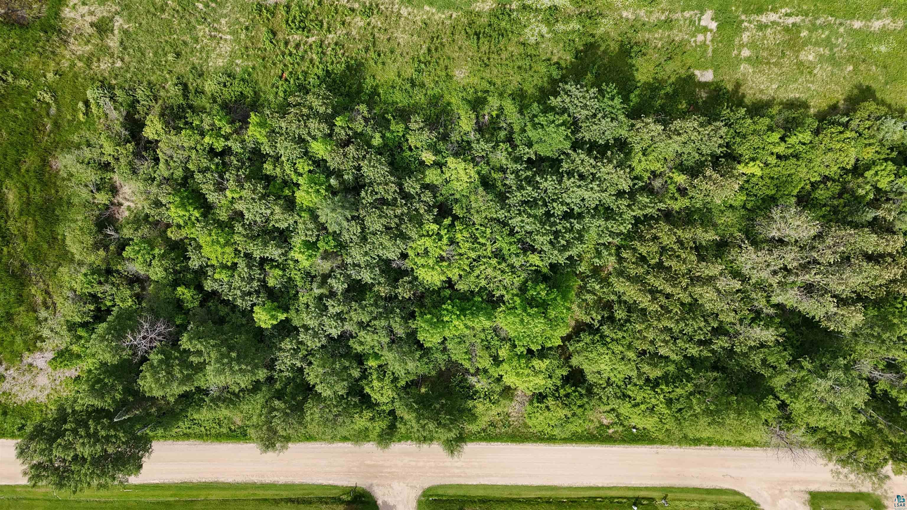 Parcel B Parcel B Parameter Road Deer River, MN 56636 - Photo 7 of 17