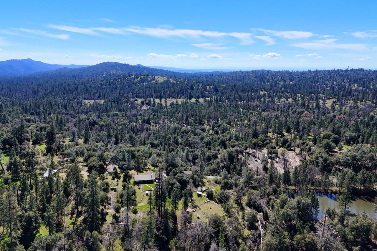 3181 Triangle Park Road Mariposa, CA 95338 - Photo 45 of 46