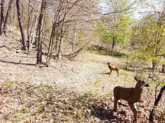 $209,900 | 17511 Havenwood Road, Sparta, WI 54656