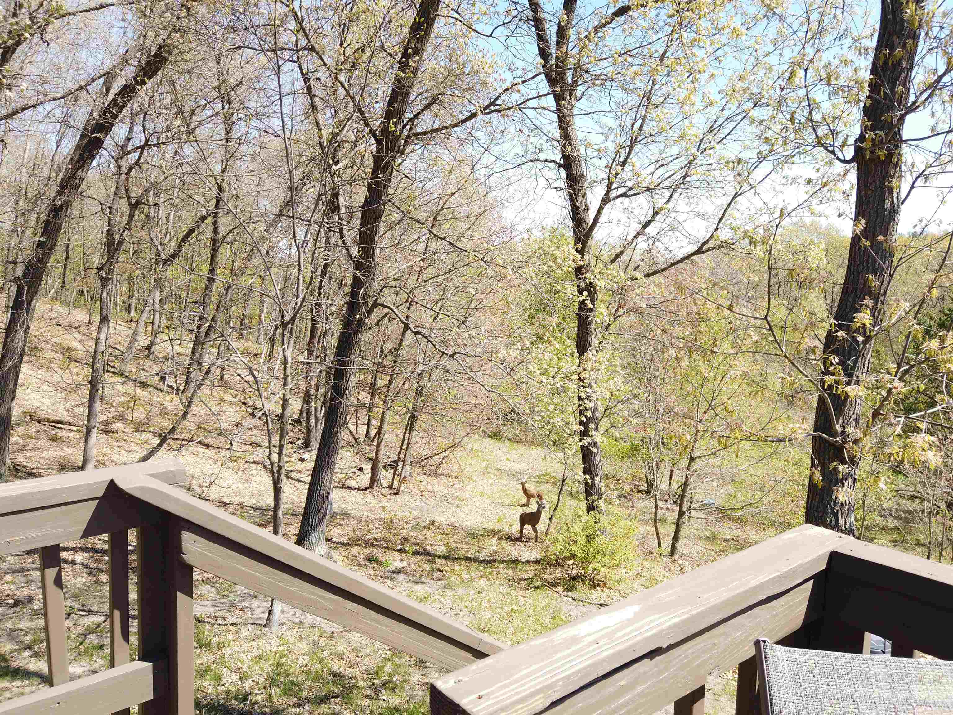 17511 Havenwood Road Sparta, WI 54656 - Photo 31 of 51